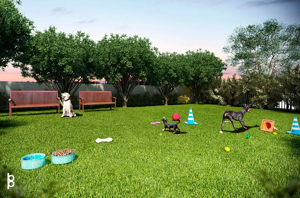 Pin Internacional - Perspectiva